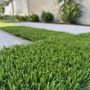 Photo of Win Green Synthetic Turf