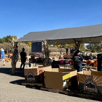 Ferrari Farms - Pick Your Own Farms Near Me - Reno, Nevada Ferrari Farms - Pick Your Own Farms Near Me - Reno, Nevada