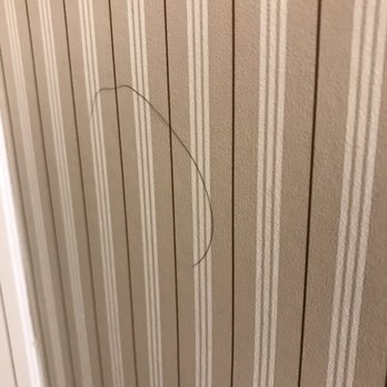 Sheraton Chapel Hill Hotel - Hairs stuck to the walls - Hotels Near Me - Chapel Hill, North Carolina Sheraton Chapel Hill Hotel - Hairs stuck to the walls - Hotels Near Me - Chapel Hill, North Carolina