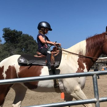 MKO Performance Horses - Horseback Riding Near Me - Lake Forest, California MKO Performance Horses - Horseback Riding Near Me - Lake Forest, California
