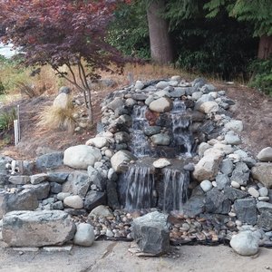 Photo of Closer to Nature Landscape - Seattle, WA, United States. Our pondless waterfall. Notice the great first row seating! Love!!