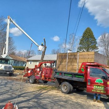 Perez Tree Service & Hardscaping - Tree Services Near Me - Lynn, Massachusetts Perez Tree Service & Hardscaping - Tree Services Near Me - Lynn, Massachusetts