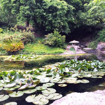 UC Botanical Garden at Berkeley - Japanese pond garden - Botanical Gardens Near Me - Berkeley, California UC Botanical Garden at Berkeley - Japanese pond garden - Botanical Gardens Near Me - Berkeley, California