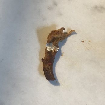 Rancho Nuevo - Aluminum foil in meat, many small pieces like this one were throughout the meat. - Mexican Near Me - Round Lake, Illinois Rancho Nuevo - Aluminum foil in meat, many small pieces like this one were throughout the meat. - Mexican Near Me - Round Lake, Illinois