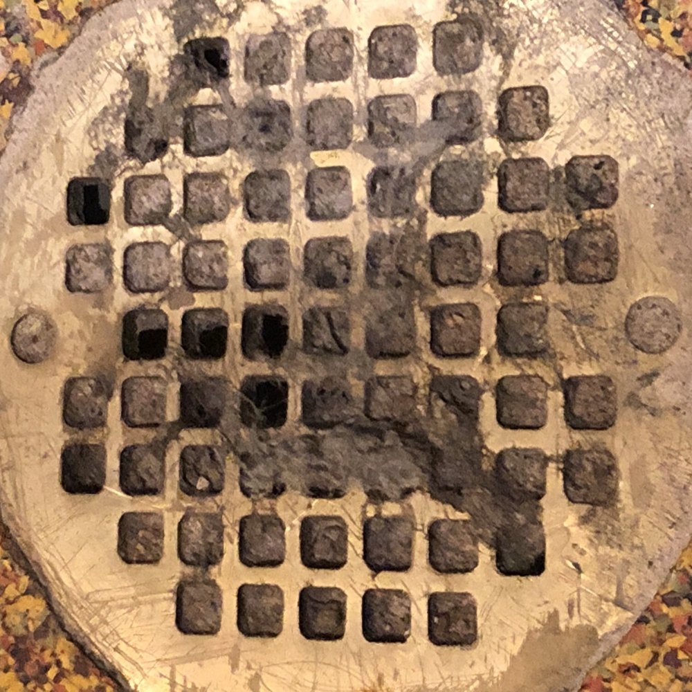 Women's restroom floor drain