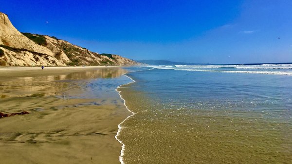 Black's Beach by null