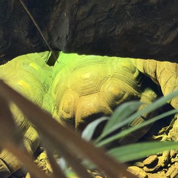 The Dallas World Aquarium - Aquariums Near Me - Dallas, Texas The Dallas World Aquarium - Aquariums Near Me - Dallas, Texas