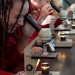 Holy Rosary School - Microscopes in Science Class