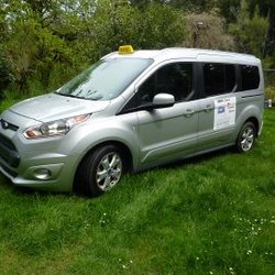 Smart Cats Taxi and Delivery - Newest addition to our people friendly family!