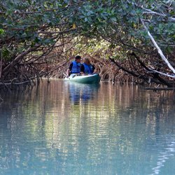 Motorized Kayak Adventures