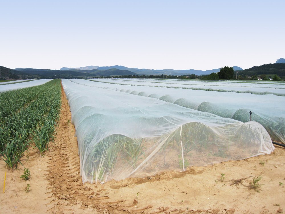 NOLT’S PRODUCE SUPPLIES Updated January 2025 142 E Farmersville Rd