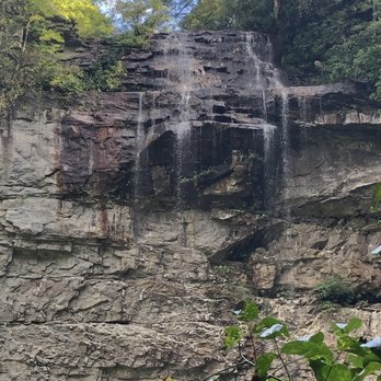 Fall Creek Falls State Park - Fall Creek Falls- not as robust as in the spring but still worth the hike to see - Parks Near Me - Spencer, Tennessee Fall Creek Falls State Park - Fall Creek Falls- not as robust as in the spring but still worth the hike to see - Parks Near Me - Spencer, Tennessee