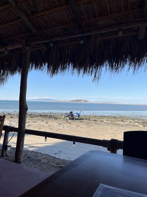 Cholla Bay Oyster House by null