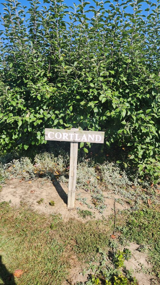 LAWRENCE ORCHARDS Updated August 2024 29 Photos 2634 Smeltzer Rd