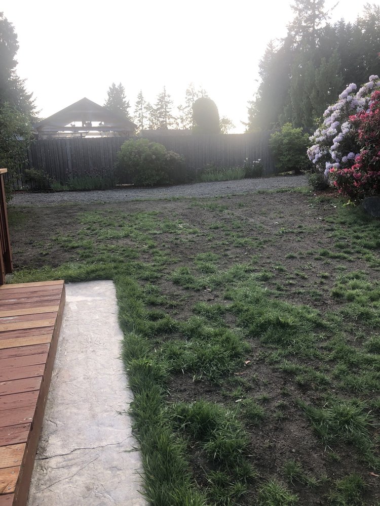 JHOANS LANDSCAPING Updated August 2024 Federal Way, Washington