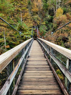 Tallulah Gorge State Park by null