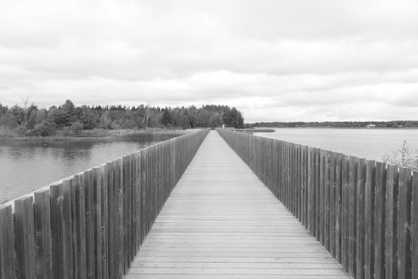 Island Lake Conservation Area by null