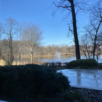 2941 Restaurant - 2941: their view is just so good - New American Near Me - Falls Church, Virginia