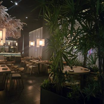 Kai - Sushi Bars Near Me - Cancún, ROO Kai - Sushi Bars Near Me - Cancún, ROO
