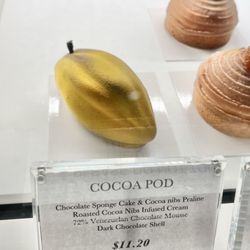 Cocoa pod dessert