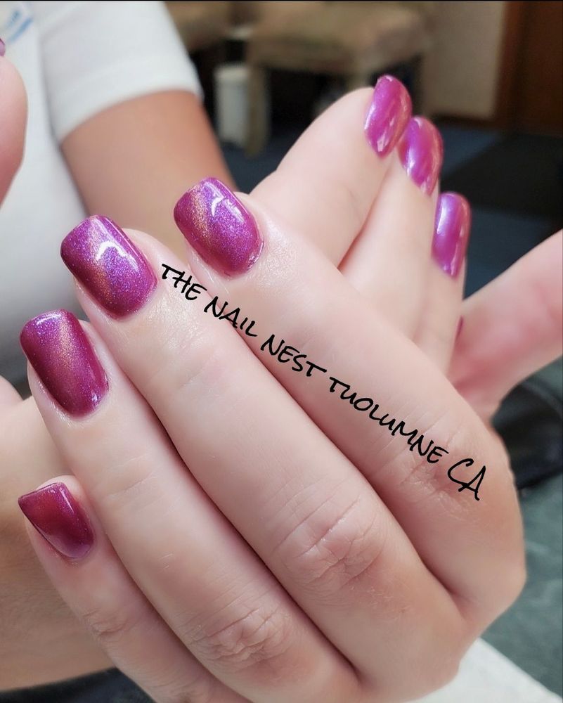 The Nail Nest Logo