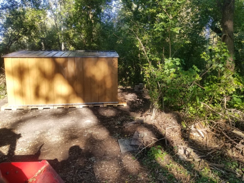 Slide of BFH Services