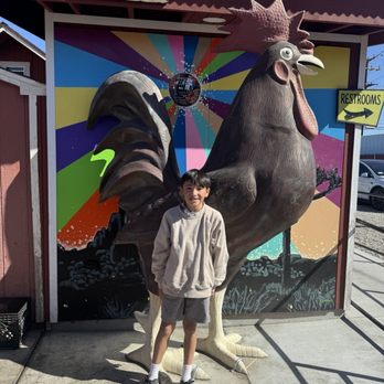 JT Country Kitchen - Breakfast & Brunch Near Me - Joshua Tree, California JT Country Kitchen - Breakfast & Brunch Near Me - Joshua Tree, California