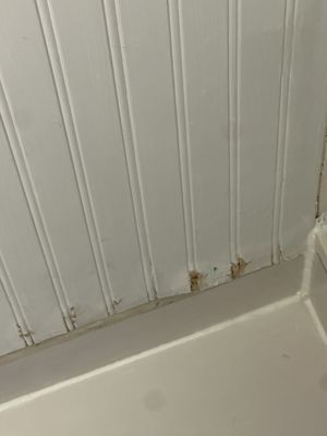 South Beach Hotel by null