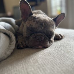Tired from all the fun :)