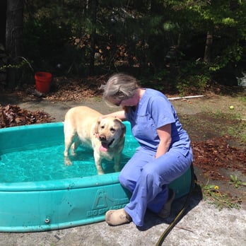 Home Veterinary Services - Dr Kim visiting a patient in his pool before their appointment - Veterinarians Near Me Home Veterinary Services - Dr Kim visiting a patient in his pool before their appointment - Veterinarians Near Me