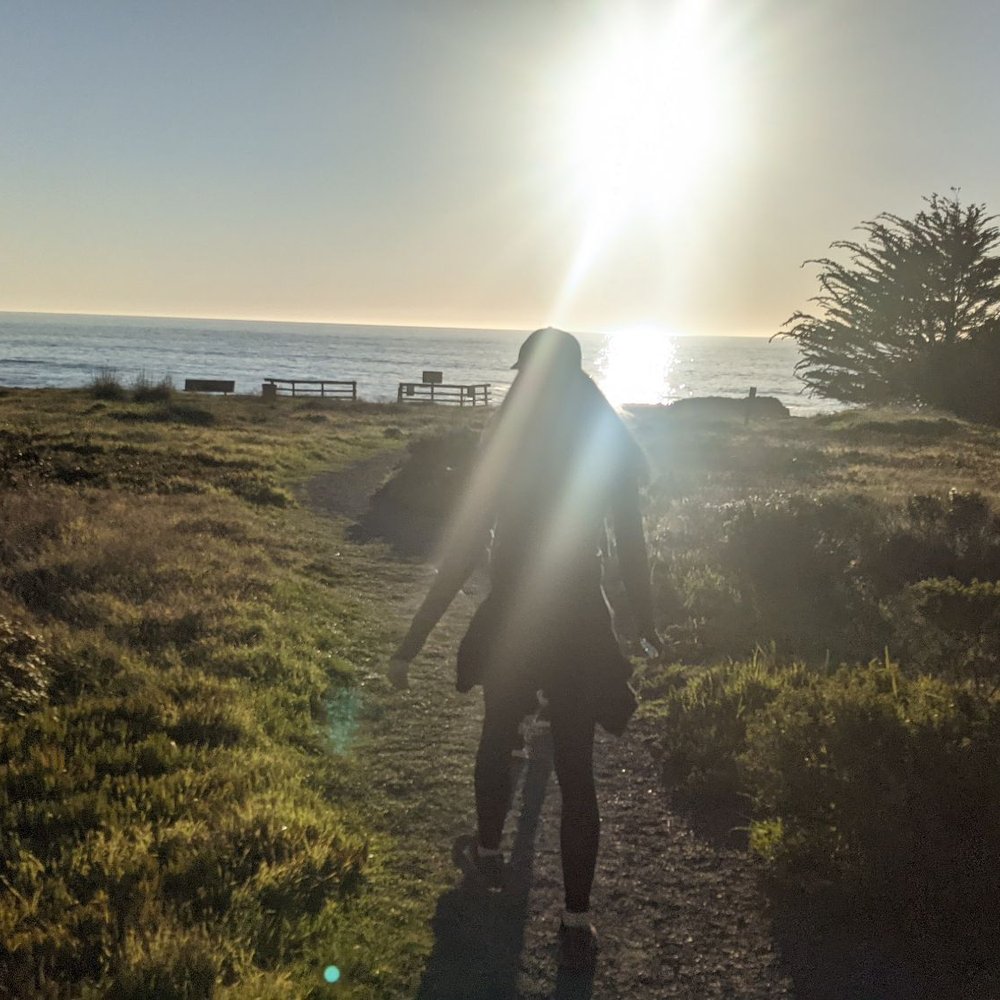 Lampton Cliffs Park - Parks Near Me - Cambria, California Lampton Cliffs Park - Parks Near Me - Cambria, California