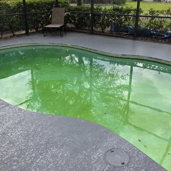 Plus Vacation Homes - Vacation Rental Agents Near Me - Orlando, Florida Plus Vacation Homes - Vacation Rental Agents Near Me - Orlando, Florida