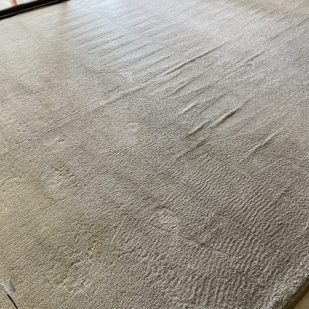 Red Carpet Cleaning Service - Living area - Carpet Cleaning Near Me Red Carpet Cleaning Service - Living area - Carpet Cleaning Near Me