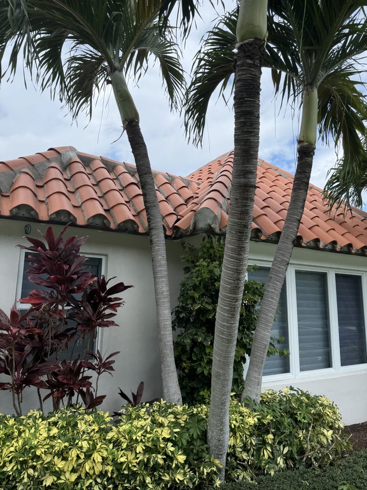 Slide of Janus Roofing