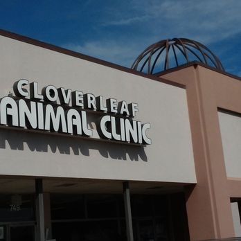Cloverleaf Animal Clinic - Veterinarians Near Me - Memphis, Tennessee Cloverleaf Animal Clinic - Veterinarians Near Me - Memphis, Tennessee