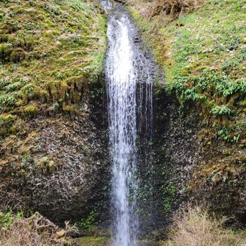 Silver Falls State Park - Hiking Near Me - Sublimity, Oregon Silver Falls State Park - Hiking Near Me - Sublimity, Oregon