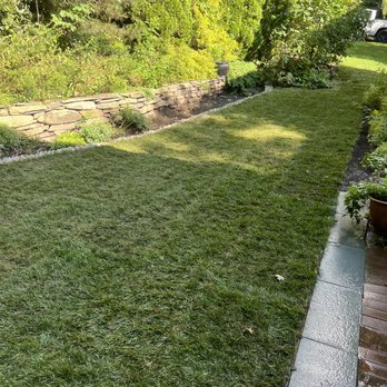 Vitamin B SGF - New SOD installed - Excavation Services Near Me