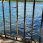 Photo of Niawanda Park