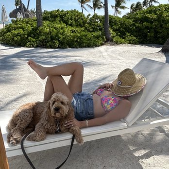 Chesapeake Beach Resort - Most relaxing beachfront - Hotels Near Me - Islamorada, Florida Chesapeake Beach Resort - Most relaxing beachfront - Hotels Near Me - Islamorada, Florida