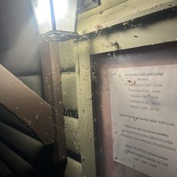 Spider webs at the check in door Spider webs at the check in door