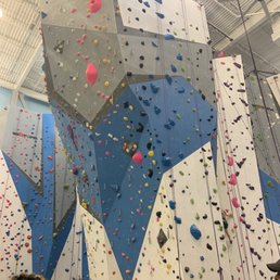 Memphis Rox - Wall with ropes - Rock Climbing Near Me - Memphis, Tennessee