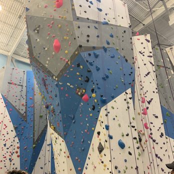 Memphis Rox - Wall with ropes - Rock Climbing Near Me - Memphis, Tennessee