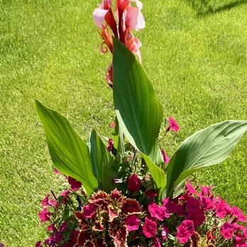 Schroeder's Flowers - Florists Near Me - Green Bay, Wisconsin