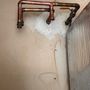 Darrick