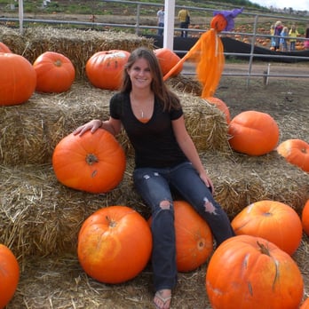 Pinery Christmas Trees - "robust" pumpkins for sale! - Christmas Trees Near Me - Escondido, California Pinery Christmas Trees - "robust" pumpkins for sale! - Christmas Trees Near Me - Escondido, California