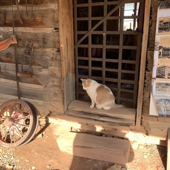 Gold King Mine and Ghost Town - Cat at the mine - Museums Near Me - Jerome, Arizona Gold King Mine and Ghost Town - Cat at the mine - Museums Near Me - Jerome, Arizona