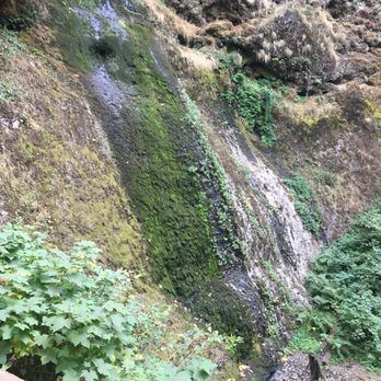 Silver Falls State Park - Hiking Near Me - Sublimity, Oregon Silver Falls State Park - Hiking Near Me - Sublimity, Oregon