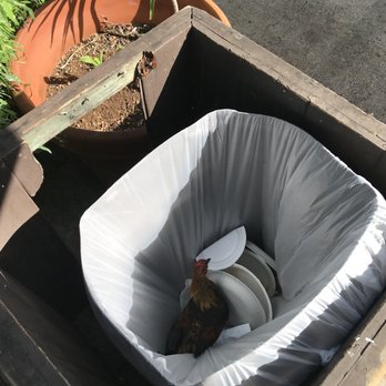 Passion Bakery Cafe - Chicken in the trash - Bakeries Near Me - Kapaa, Hawaii