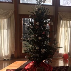 Walsh Tree Farm