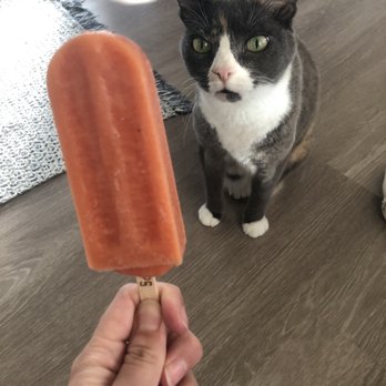 West Coast Pops - Princess likes the peach in this hot weather - Desserts Near Me - Bellingham, Washington West Coast Pops - Princess likes the peach in this hot weather - Desserts Near Me - Bellingham, Washington